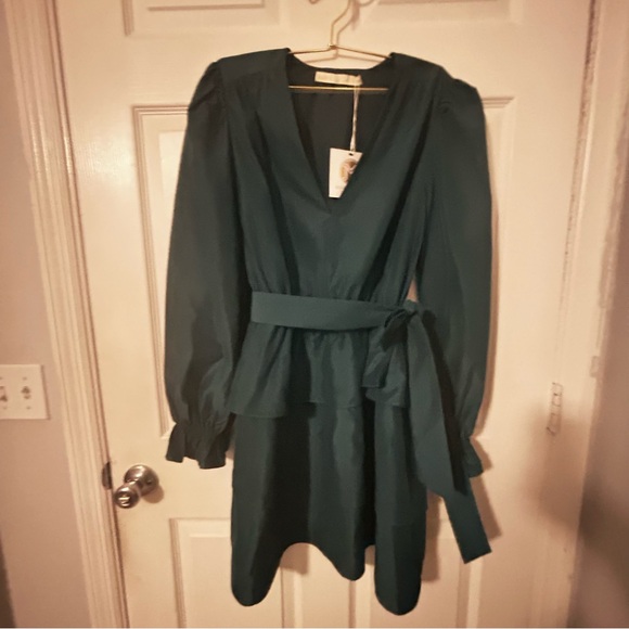 NWT Marie Oliver mini Umbra taffeta dress in pond size L - Picture 8 of 9